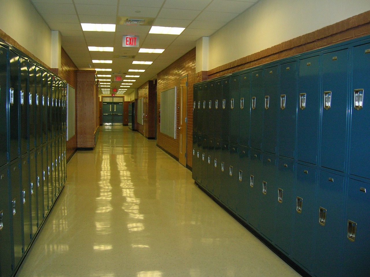 Sustainability in Schools - What's the Role?